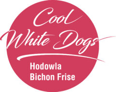 Cool White Dogs